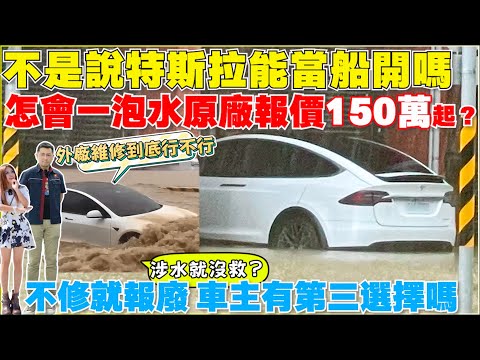 特斯拉泡水車，外廠維修可以嗎？發生什麼事，最後都報癈｜【Echo’s Ev Life】