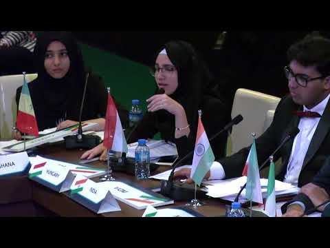 United Nations Student Simulation - General Assembly