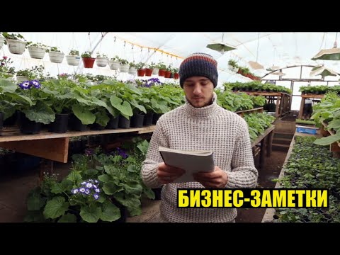 Вот так я пишу бизнес-план на год. Конкретные примеры моего опыта.