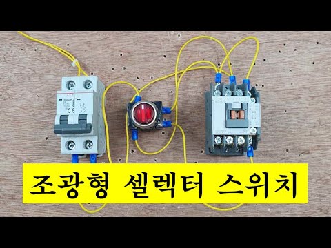 조광형 셀렉터 스위치