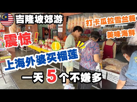 🇲🇾Kuala Selangor, a fairytale town in Malaysia🔥Grandma from Shanghai is obsessed with Malaysian d...