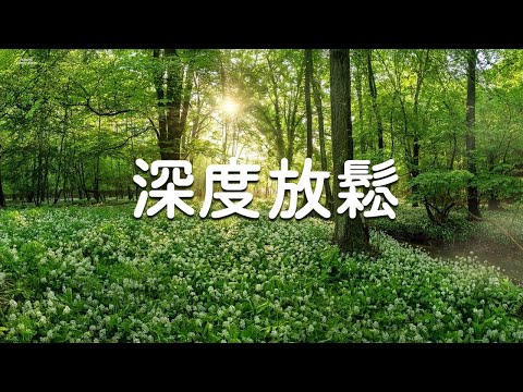 Beautiful Relaxing Music - Piano Music for Stress Relief, Happy and Positive Energy, Dopamine Music