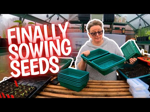 Random seed sowing tips while I get sowing  | garden vlog
