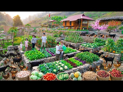 Off-Grid Farming: Harvest Big, Cook Fresh, Sell Fast