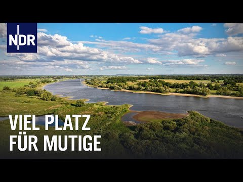 Die Elbtalaue: Chancen im ehemaligen Grenzgebiet | die nordstory | NDR Doku