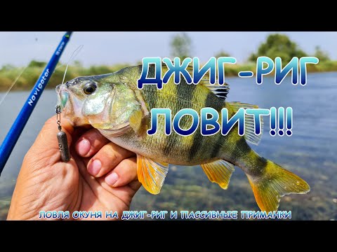 Окунь на Джиг-Риг и пассивные приманки!