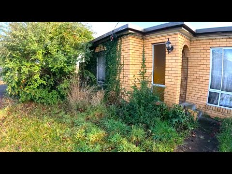 30 Hour Full Yard Cleanup with Crazy Weed Infestation!!!