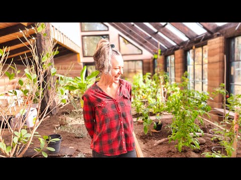Canadian Winter Growing: Inside Our Rammed Earth Year-Round Greenhouse