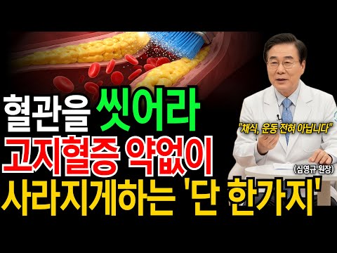 “의사들 밥줄 끊길 각오로 말합니다" 막힌 혈관 기름 쫙 빼는 단 하나의 방법 | 콜레스테롤에 좋은음식｜시니어 건강｜노후 지혜