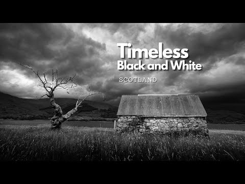 Timeless Black and White