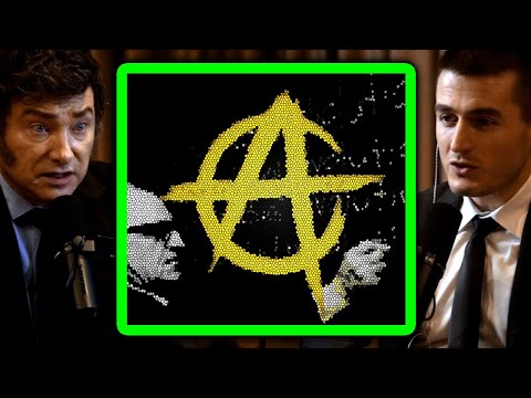 Javier Milei explains anarcho-capitalism | Lex Fridman Podcast Clips