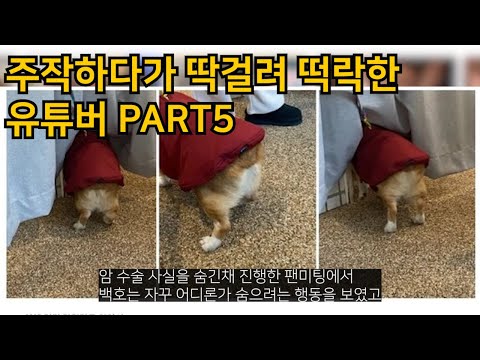 주작하다가 딱걸려서 떡락한 유튜버 part5