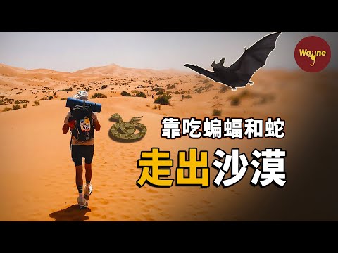 「求生系列」死亡馬拉松選手，在撒哈拉沙漠迷失9天，最終靠吃蝙蝠和蛇走出沙漠 | Wayne調查
