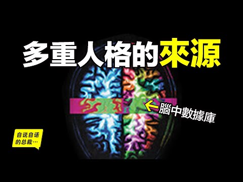 多重人格究竟是什麼？糖尿病、近視眼、柔韌度，為什麼多重人格還能改變肉體機能？也許多重人格來源於我們大腦中的一個神秘數據庫……|自說自話的總裁