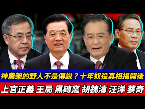神農架的野人不是傳說？十年奴役真相揭開後，誰在掩蓋？｜上官正義｜王局｜黑磚窯｜胡錦濤｜汪洋｜蔡奇｜何衛東｜張又俠｜李強