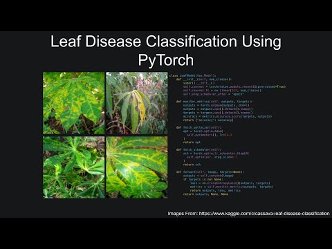 Leaf Disease Classification Using PyTorch