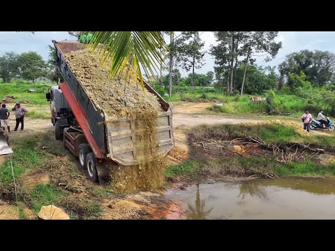 Exquisite Open Start New Project!Truck 25.5T Fillland Delete Pond,Heavy Machine SHANTUI Pushing Soil