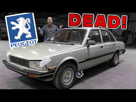 A "SPECIALTY" Shop KILLED This Peugeot 505 S! Can I Save It?