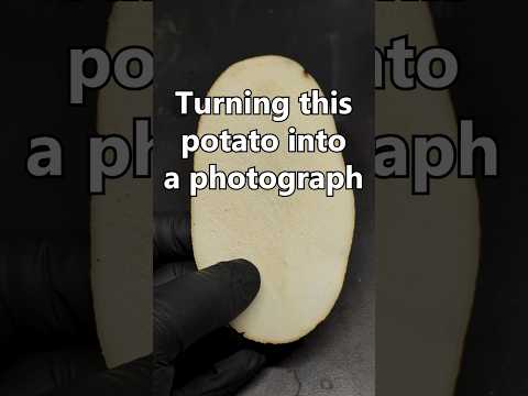 Photographic... Potato?