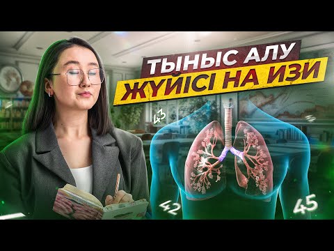 Тыныс алу жүйісі на изи | ҰБТ Биология