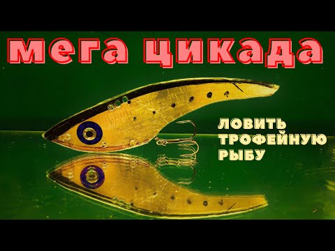 Огромная ЦИКАДА выловит всех монстров