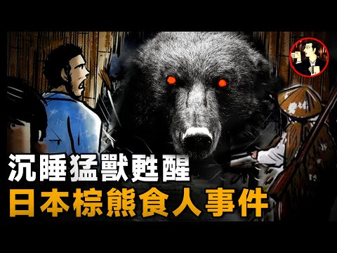惡熊闖入村子瘋狂襲擊人類，最終7人喪生3人重傷，日本三毛別棕熊襲擊事件
