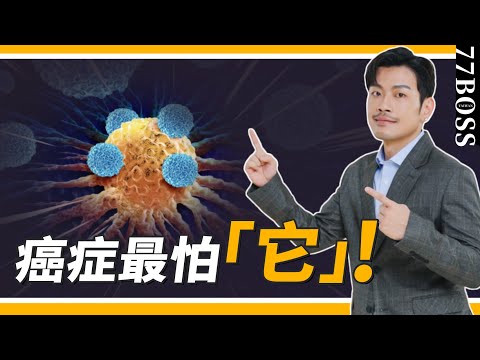 癌症最怕「它」!醫生眼中最防癌的食物!【77老大】