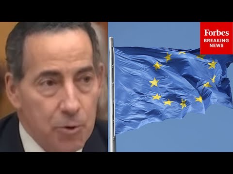'We Can't Seem To Have A Hearing About ICE Agents Shooting Americans': Raskin Rips EU Speech Hearing