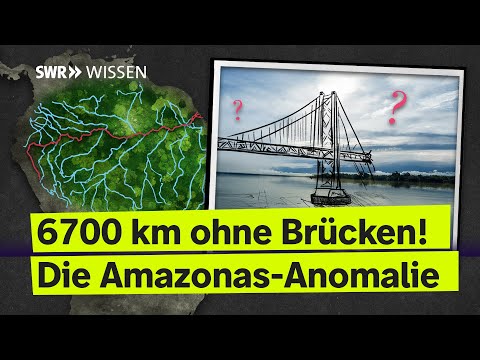 Warum hat der Amazonas keine einzige Brücke? | SWR Wissen