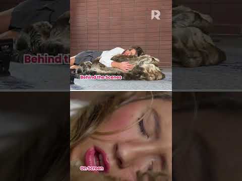 Kissed by Claw and Fang Movie Behind the Scenes | ReelShort