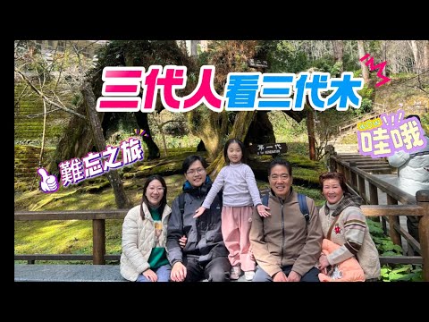 太喜歡阿里山的步道了，讓人心曠神怡，捨不得離開，體驗觀光火車，三代人一起看三代木，為什麼叫姐妹潭？