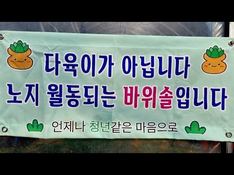 Rocky soil is important (potato mix is ​​best!)