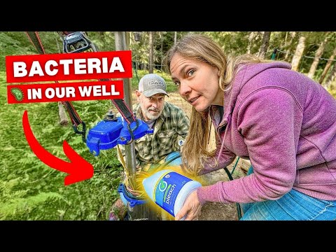 We Had to BLEACH Our Well Water | Iron Bacteria Fix