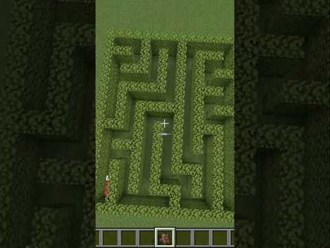 will the villager complete the maze?