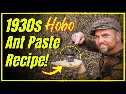 Homemade 1930s Hobo Ant Paste – Vintage Insect & Rodent Repellent Recipe!
