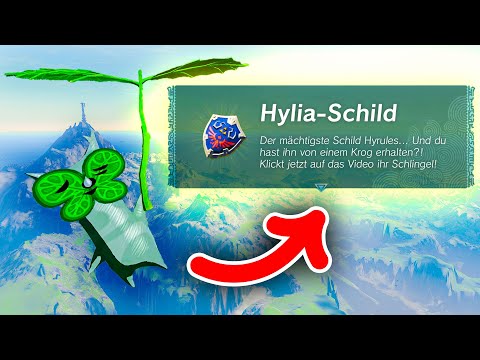 ULTIMATIVES GLÜCK in der TotK Randomizer!