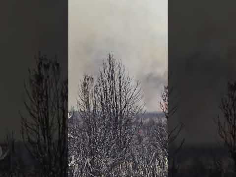 Firefighters battling multiple blazes at Tongariro National Park | RNZ