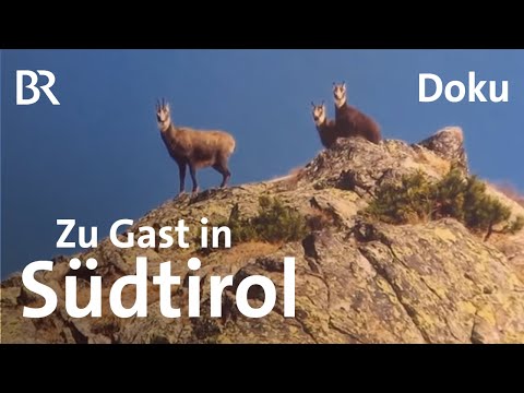 Berggasthöfe und Buschenschänken in Südtirol | Unter unserem Himmel | BR | Doku | Berge