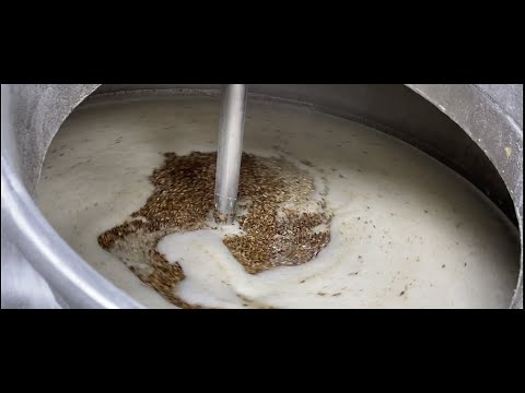 Применение лактобактерий при изготовлении виски в домашних условиях.