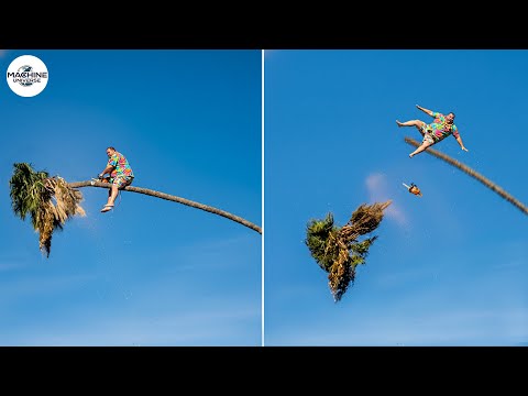 Idiots With Chainsaws: Tree Cutting Fails | Extreme Dangerous Logging Truck Fails #10