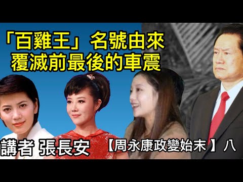 「百雞王」名號的由來；《沈冰自述》一段孽緣；被捕前的車震（周永康政變始末8）
