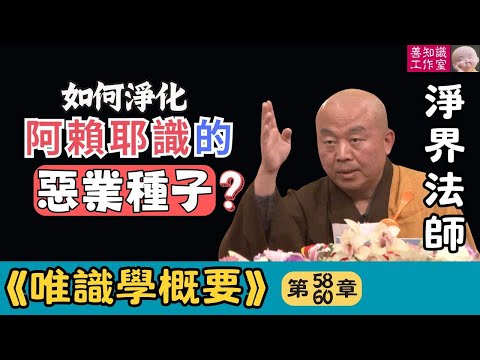 淨界法師:如何淨化阿賴耶識的惡業種子? | 唯識學 58~60