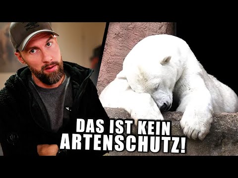 Artenschutz?! Das könnt ihr doch nicht Ernst meinen?! Robert Marc Lehmann vs. Zoo-Unterstützer
