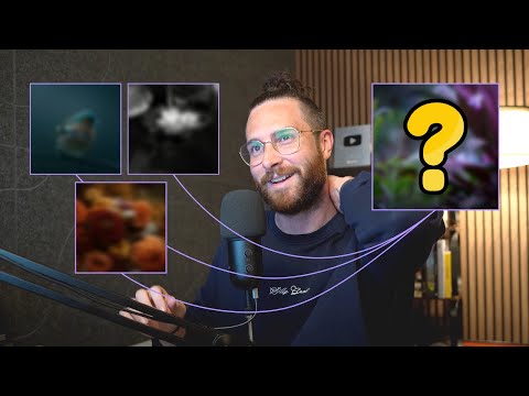 A Big Secret About Kittl Flows You Need To Know