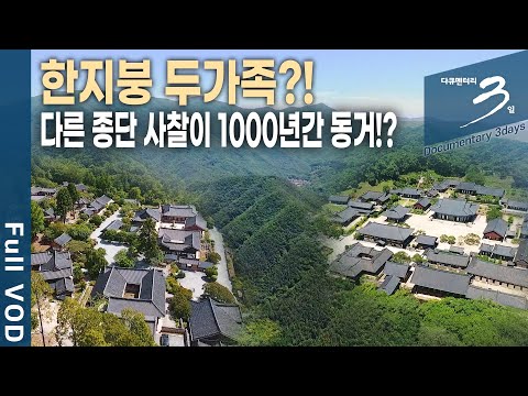송광사-선암사, 두 사찰 잇는 6.5km 비밀의 왕래길 있다?! [다큐3일 순천 굴목재 72시간 20200626 방송]