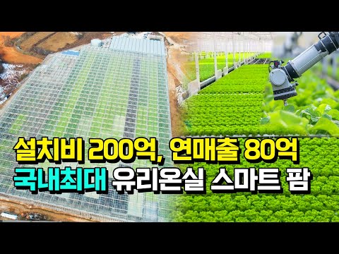 국내최대 7000평 유럽채소 스마트팜이 인력 없이 자동화로 운영되는 이유