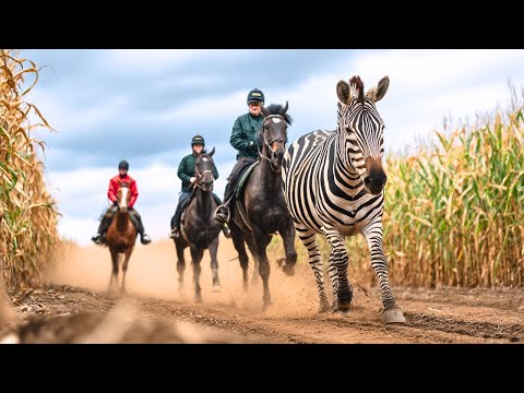 Ein Familien-Abenteuerfilm, der Sie begeistern wird | AUF DEUTSCH