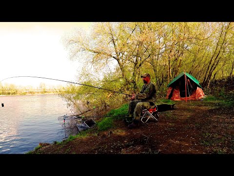 Рыбалка. Двое Суток на Реке. Природа просыпается, Рыбка откликается, Душа улыбается и Быть Добру!