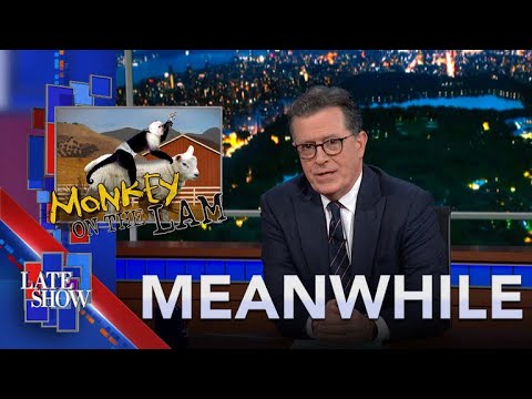 Meanwhile… Stevie Nicks Barbie | Gen Z Dropping Southern Accents | Monkey on the Lam