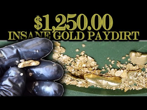 $1,250.00 Bag of Dirt has HUGE Gold Nuggets!